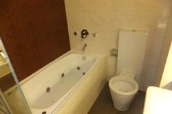 The Lincoln Residences (D11), Condominium #398695761
